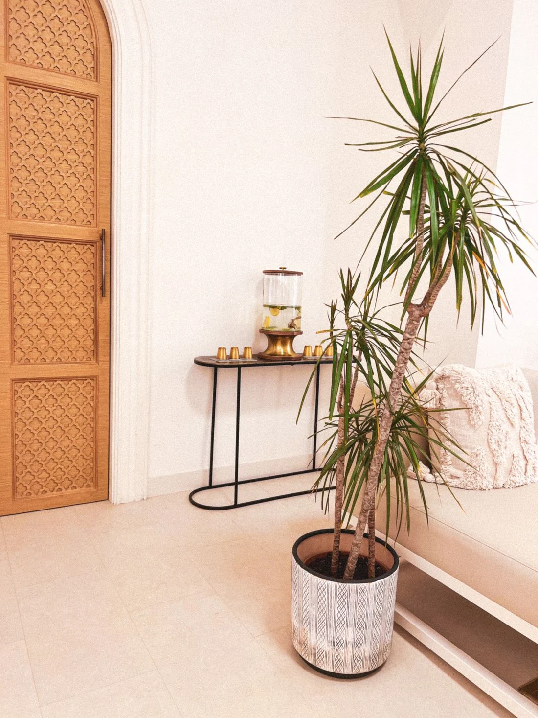 Potted plant and small furniture against a light apartment wall