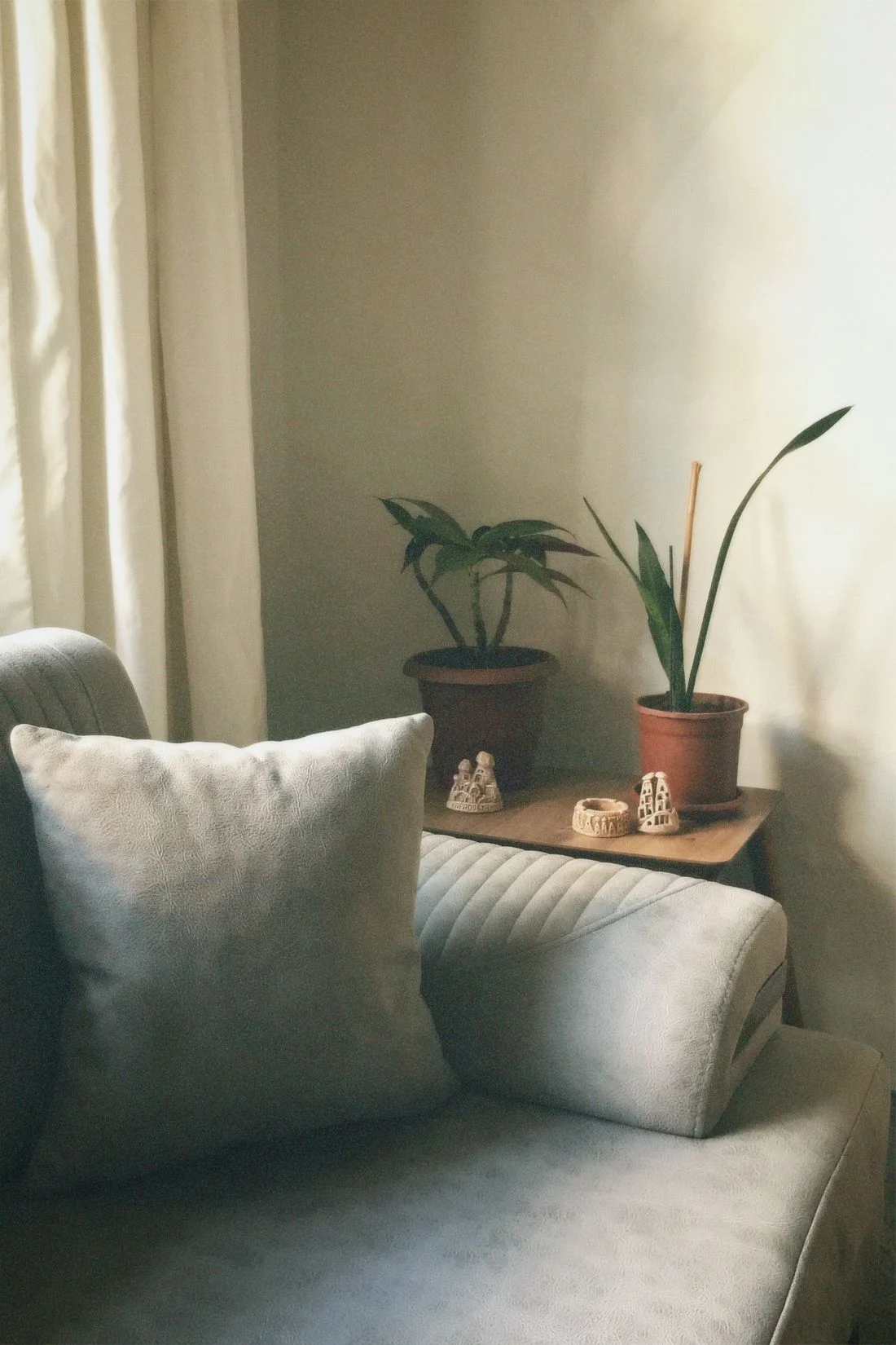 Green sofa beside a cluster of leafy plants
