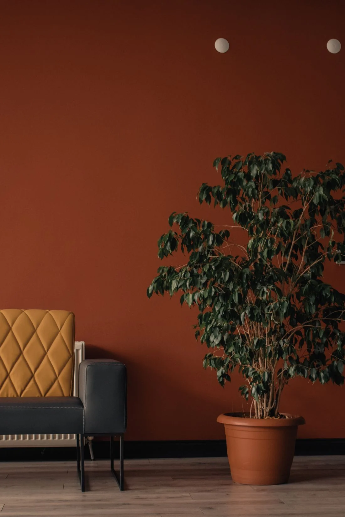 Compact upholstered chair beside an indoor tree