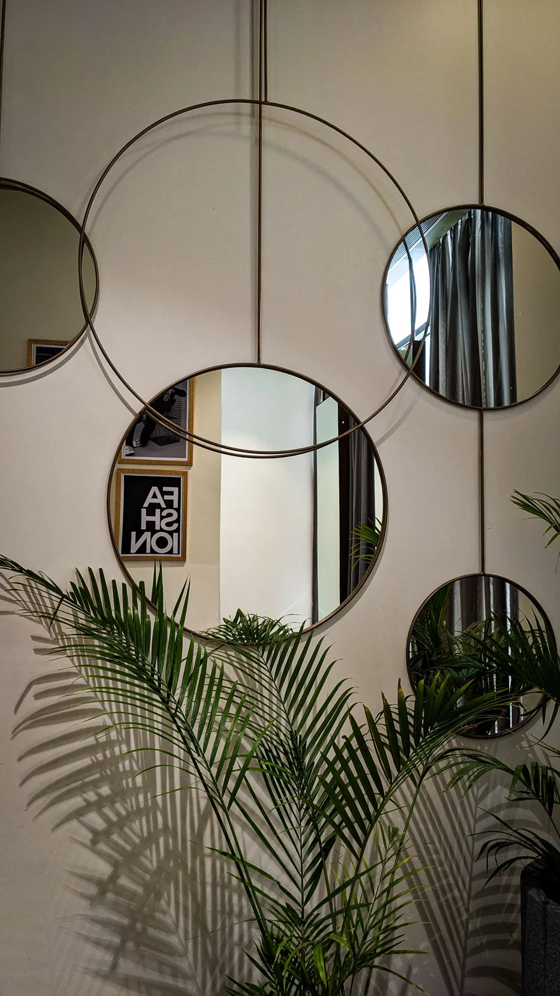 Circular mirrors grouped beside an indoor palm