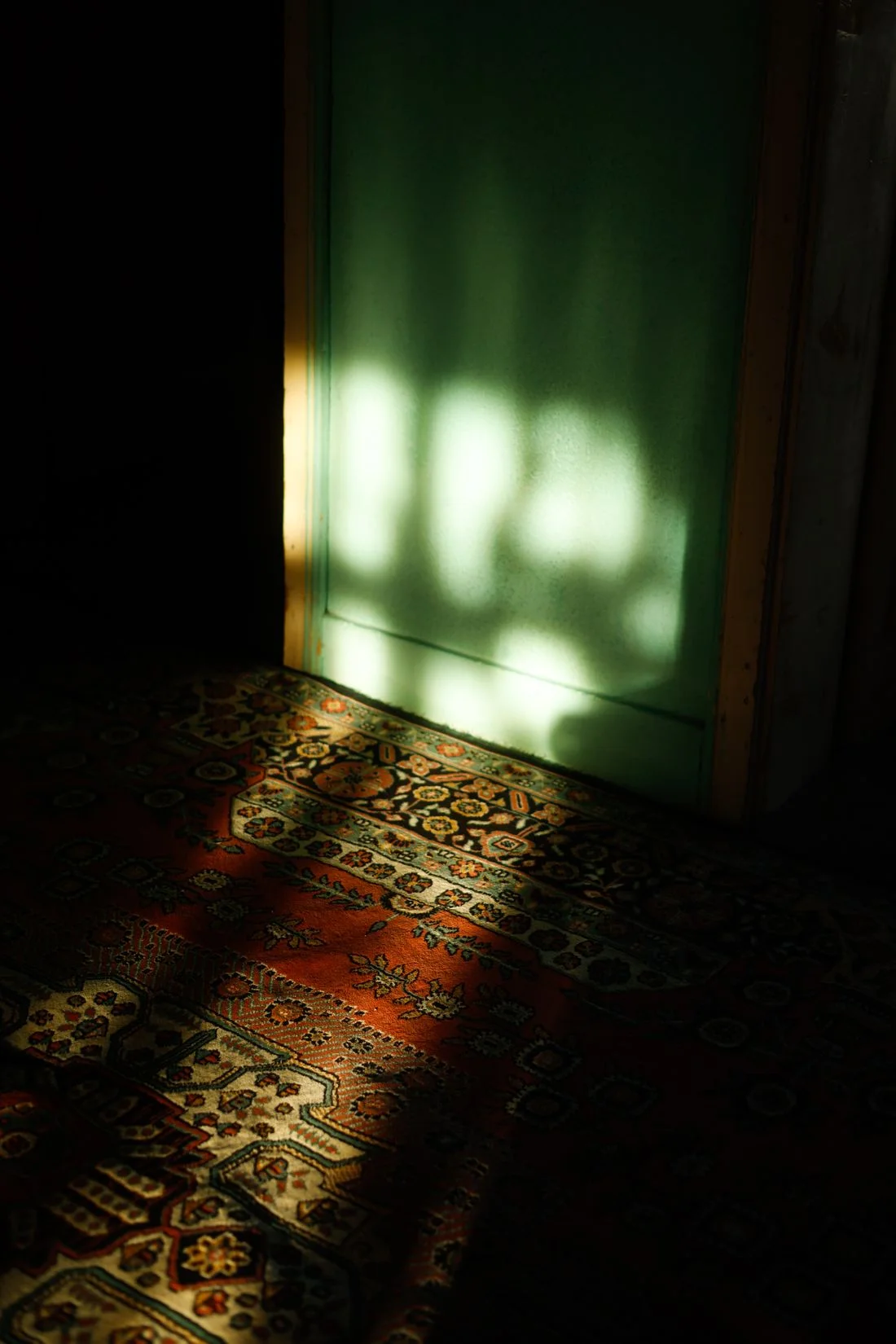 Patterned rug illuminated by sunlight