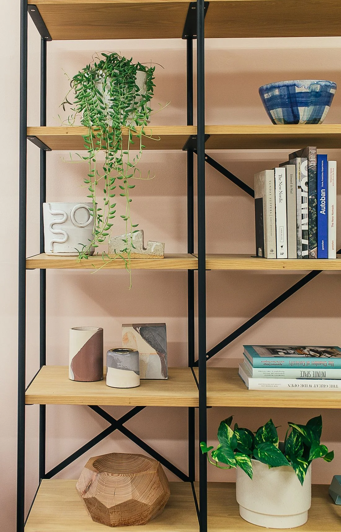 Books, plants and decorative objects on shelves