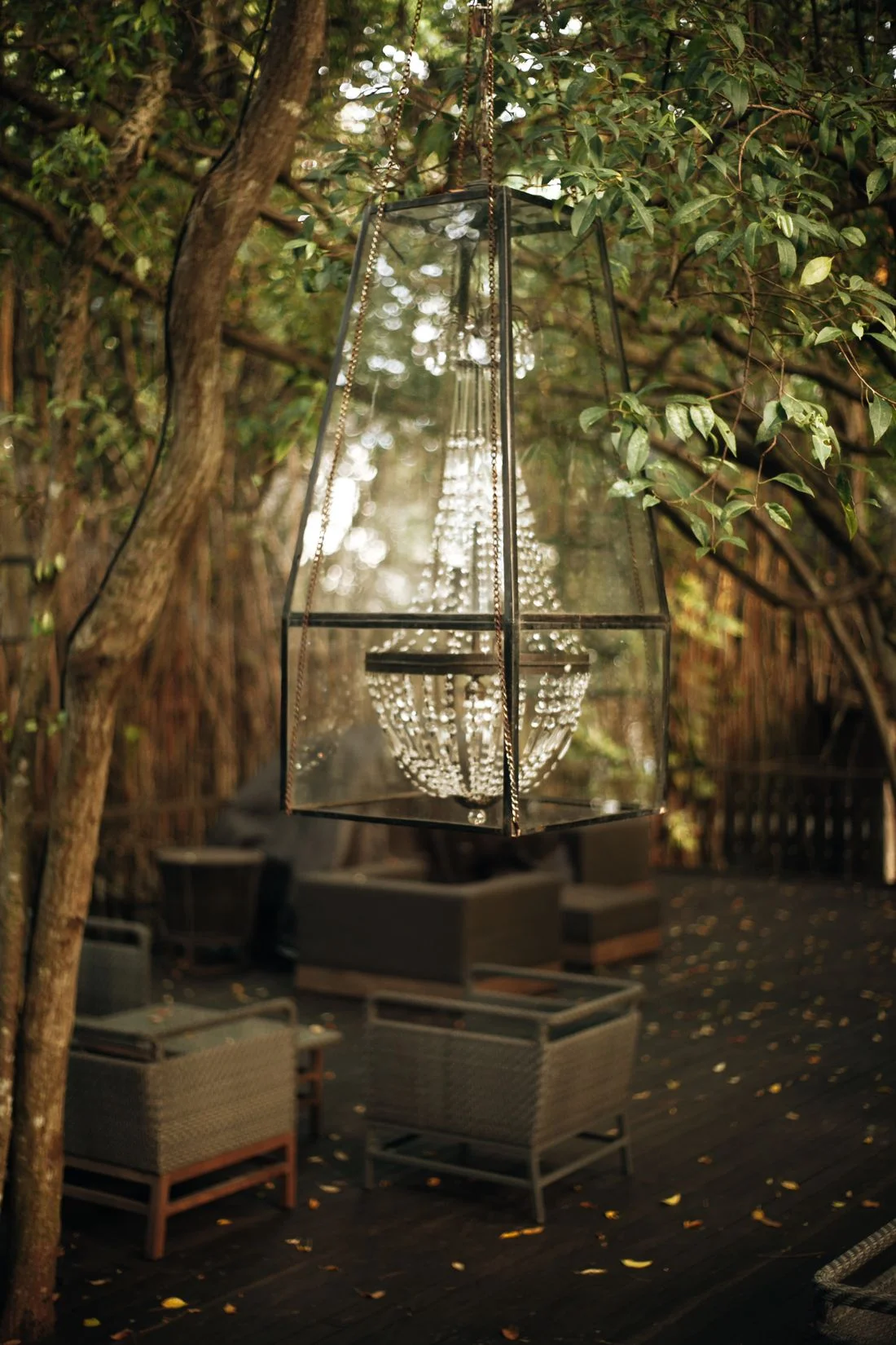 Hanging lantern in a leafy patio setting